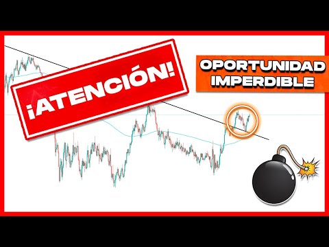 ¿Cómo se puede operar en Forex con enfoque en el largo plazo?
