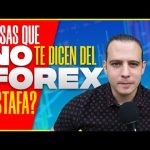 ¿Cómo identificar una estafa o fraude en Forex?